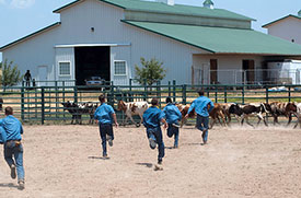 Agape Boarding School barns